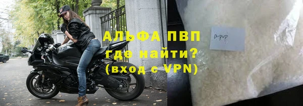молекула духа Богданович