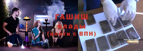 гашик Вяземский
