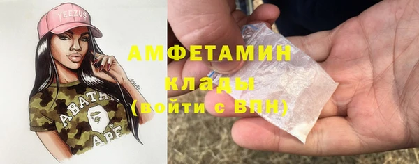 гашик Вяземский