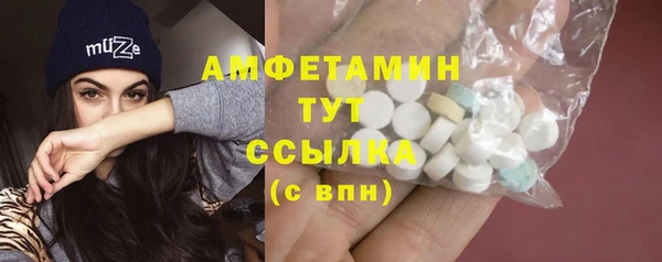 гашик Вяземский