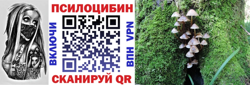 как найти наркотики  Ивантеевка  Галлюциногенные грибы Cubensis 